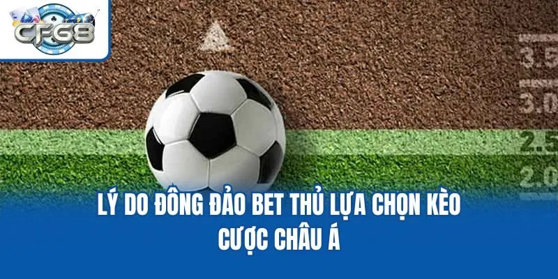 Lý do đông đảo bet thủ lựa chọn kèo cược châu Á